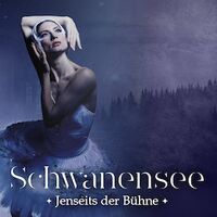 Swan Lake Beyond the Stage - live Streichquartett