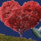 Glaube, Liebe – Hoffnung? - 4. Vorstellung