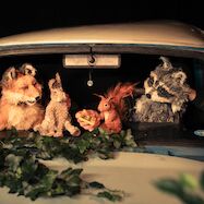 Theater Kuckucksheim: Tanz der Tiere