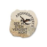 Archaeopteryx - Der Stein vergisst nicht