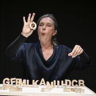 Theater katinkaspringinsfeld (DE) | ab 5 Jahren